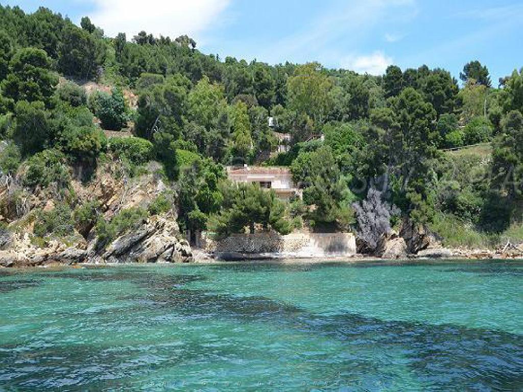 183 D36 LE LAVANDOU_000050.jpg